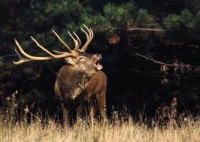 /album/fenykepgaleria/images-2-jpg1/